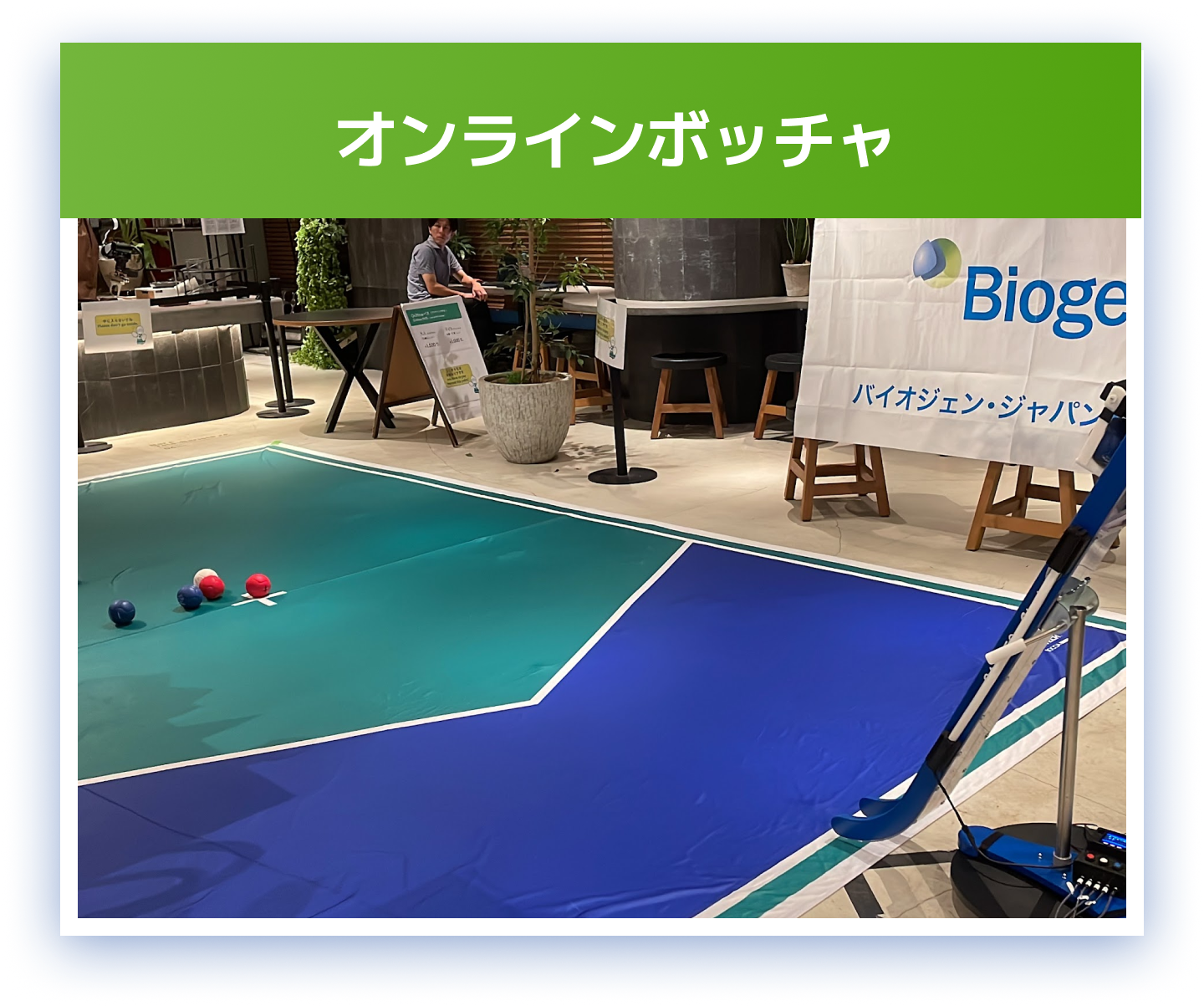 オンラインボッチャ